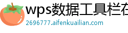wps数据工具栏在哪里设置的啊怎么打开